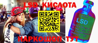 шишки Камышлов
