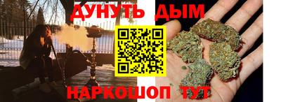 шишки Камышлов