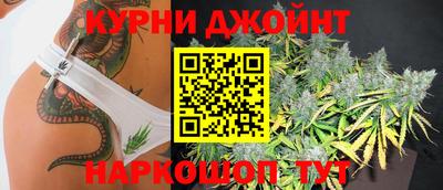 шишки Камышлов