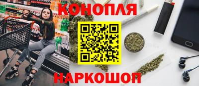шишки Камышлов