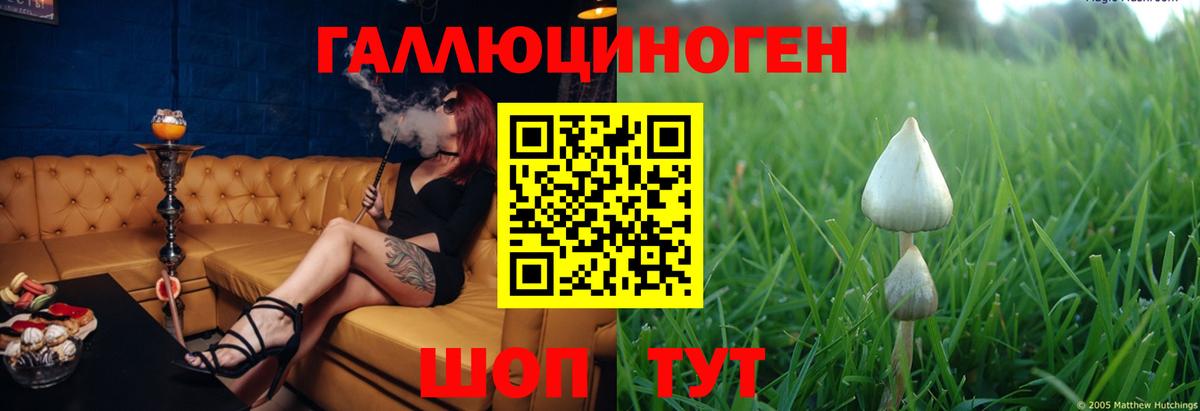 Галлюциногенные грибы Cubensis  Вход с VPN  сколько стоит  Галлюциногенные грибы MAGIC MUSHROOMS  Гусиноозёрск 